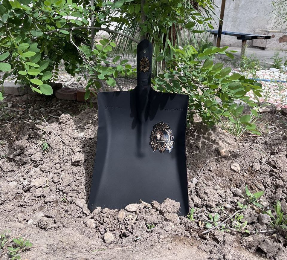 بیل پارویی