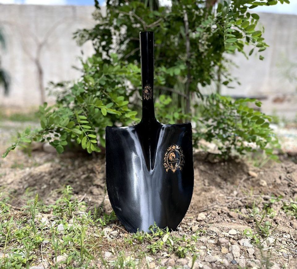 بیل دسته بلند